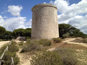 Torre de Tajo
